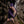 Aethervale Shorts - Nightshade Purple