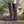 Men's Bramblewood Boots - Harvestmoon