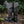 Men's Blacktide Boots - Ironwood Brown and Classic Black