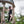 Fae Ceremonial Halter Dress - Black