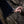 Bramblewood Battle Dress - Brown and Navy Blue