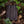 Pochette de ceinture en cuir Wayfarer - Moyenne