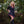 Aslaug Tunic - Black with Red Trim