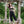 Warrior Long Pants - Black w/ Striped Waist