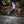 Women's Ares Knee High 4