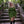 Emberfell Chemise - Acidmoss Green