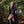 Wayfinder Cloak Sample - Black