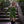 Emberfell Chemise - Acidmoss Green