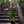 Emberfell Chemise - Acidmoss Green