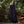Wayfinder Cloak Sample - Black