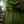 Emberfell Chemise - Acidmoss Green