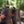 Men's Heartseeker Low Boots - Harvestmoon