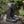 Men's Heartseeker Knee-High Boots - Nightcourt