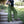 Floralace Flare Pants - Acidmoss Green