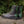 Men's Heartseeker Low Boots - Classic Black and Dragonseye Green