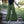 Floralace Flare Pants - Acidmoss Green