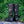 Men's Skyfall Boots - Black Canvas