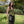 Crop top licou Celia - Vert mousse acidulé